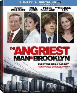 The Angriest Man in Brooklyn (2014)