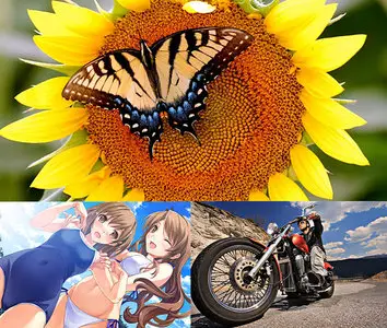 The Best Wallpapers pack 227 by nko