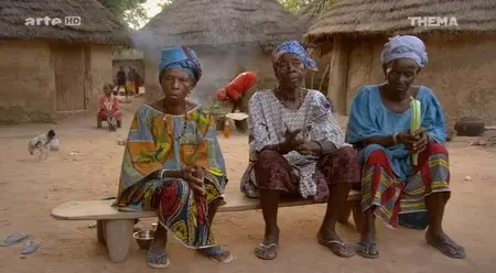 (Arte) L'aide au développement, un cadeau empoisonné ? (2014)