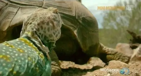 Discovery Channel - Mini Monsters (2014)