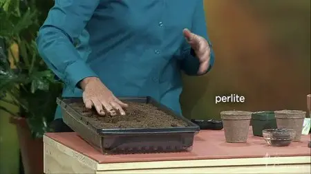 TTC Video - Food Gardening for Everyone