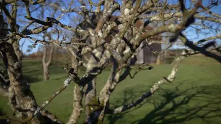 BBC - A Year in an English Garden: Flicker and Pulse (2017)