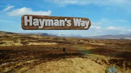 STV - Hayman's Way Special (2015)