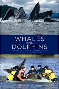 Whales and Dolphins: Cognition, Culture, Conservation and Human Perceptions (Earthscan Oceans)