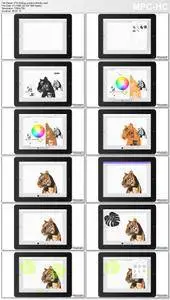 Lynda - Creating a Poster with Adobe Mobile Apps (updated 5 Feb, 2016)