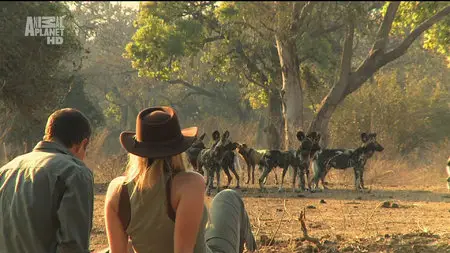 Karina - Wild on Safari - S01E01