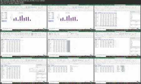 The Microsoft Excel Data Analysis Toolkit Bundle