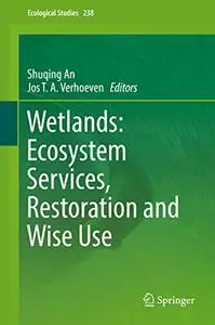 Wetlands: Ecosystem Services, Restoration and Wise Use (Repost)