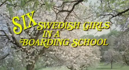 Sechs Schwedinnen im Pensionat (1979)