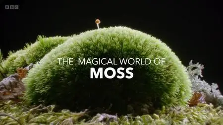 BBC - The Magical World of Moss (2023)