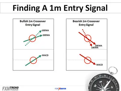ForexMentor - FXM Trend Trader by Frank Paul (2013)
