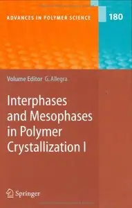 Interphases and Mesophases in Polymer Crystallization I