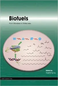 Biofuels: From Microbes to Molecules