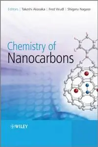 Chemistry of Nanocarbons (Repost)