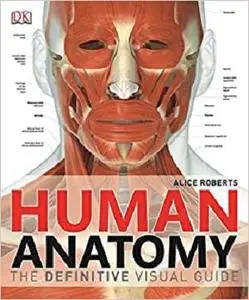 Human Anatomy