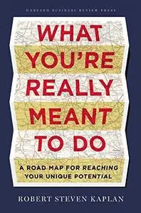 What You're Really Meant to Do: A Road Map for Reaching Your Unique Potential