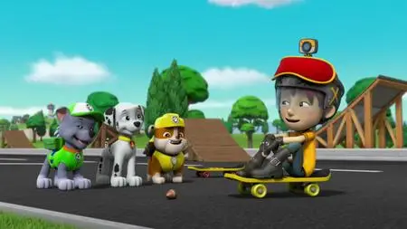 Paw Patrol Helfer auf vier Pfoten S06E20