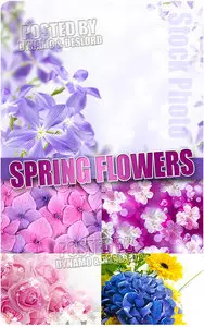 Spring Flowers 6 - UHQ Stock Photo