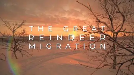BBC - All Aboard: The Great Reindeer Migration (2018)