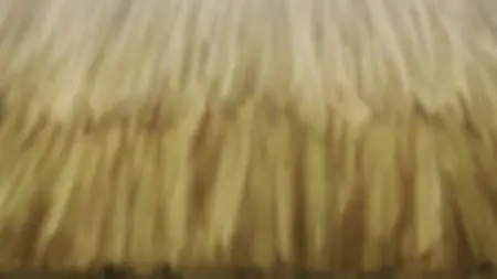 Spice and Wolf (2024) - 01 (720p