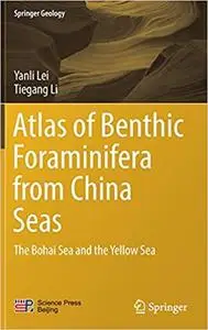 Atlas of Benthic Foraminifera from China Seas: The Bohai Sea and the Yellow Sea (Repost)