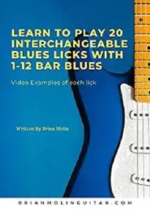 Learn To Play 20 Interchangeable Blues Licks With 1- 12 Bar Blues: Beginner to Intermediate Levels