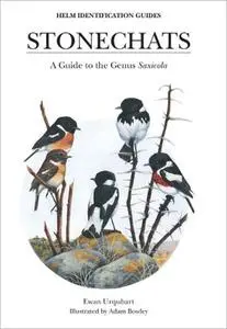 Stonechats: A Guide to the Genus Saxicola (Helm Identification Guides)