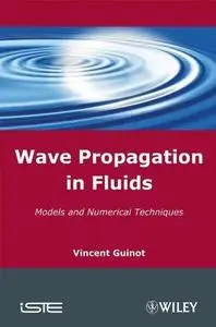Wave Propagation in Fluids