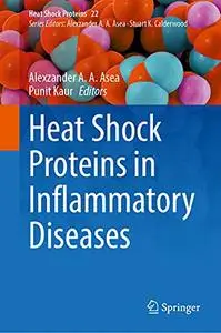 Heat Shock Proteins in Inflammatory Diseases