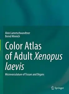 Color Atlas of Adult Xenopus laevis: Microvasculature of Tissues and Organs