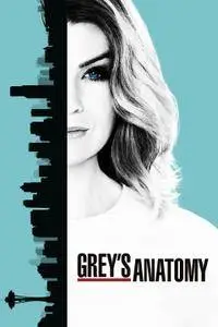 Greys Anatomy S14E04 E Stata Una Vera Sorpresa