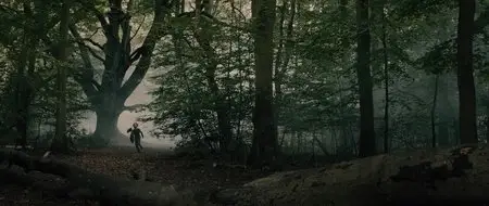 Into the Woods (2014)