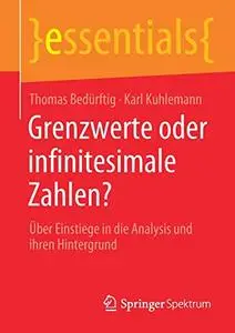 Grenzwerte oder infinitesimale Zahlen?: Über Einstiege in die Analysis und ihren Hintergrund