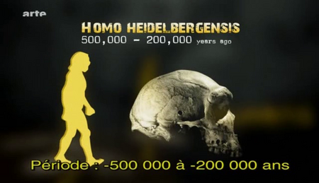 (Arte) Aux origines de l'humanité (3 sur 3) Homo Sapiens, dernier survivant de la lignée (2010)