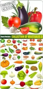 Collection of vegetables 3 - Stock Vector