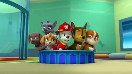 PAW Patrol S06E02