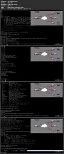 Cisco CCNP SCOR Security (350-701): 2 Cloud and Content Security