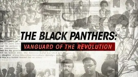 BBC Storyville - The Black Panthers (2016)