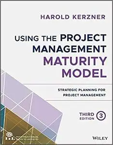 Using the Project Management Maturity Model: Strategic Planning for Project Management, 3rd edition