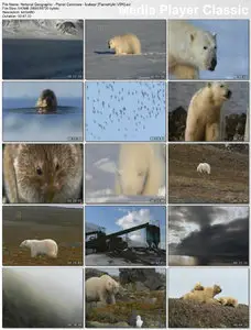 National Geographic's Planet Carnivore: Ice Bear (2007)