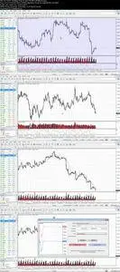 Forex Trading- Comprehensive & Concise Forex Trading Course (2016)