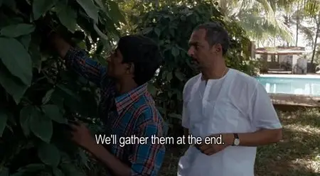 The Pool (2007)