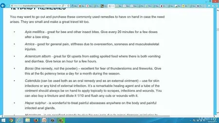 Cure & Prevent Dog Illnesses Using Natural Remedies For Dogs