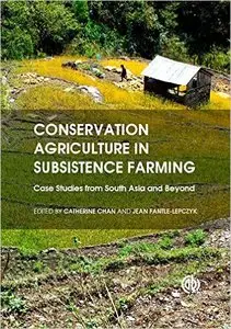 Conservation Agriculture in Subsistence Farming: Case Studies from South Asia and Beyond