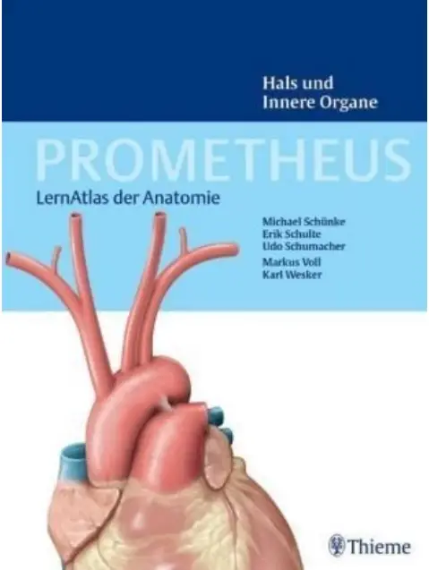 Erik Schulte, Udo Schumacher, Michael Schünke - Prometheus: LernAtlas der Anatomie, Hals und Innere Organe
