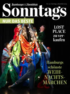 Hamburger Abendblatt Sonntags - 09 November 2025