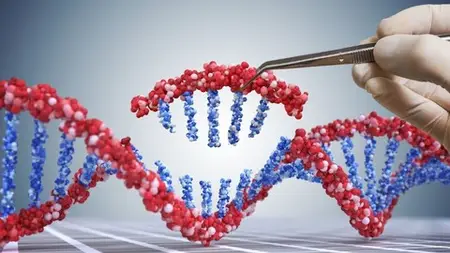 Genetic Engineering Using Crispr Course
