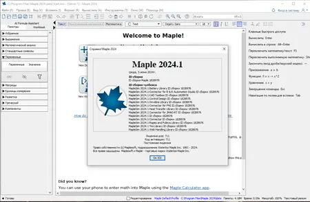 Maplesoft Maple 2024.1