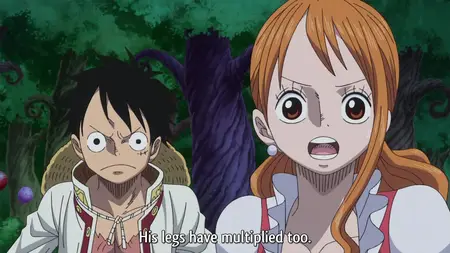 One Piece 798