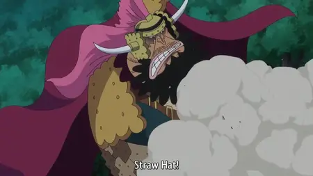 One Piece 798